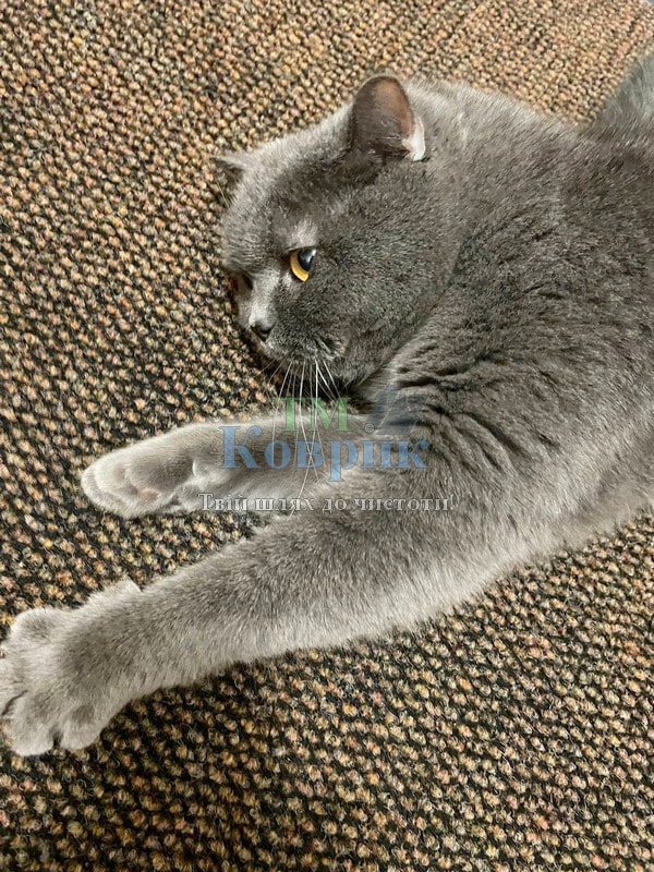 коврик придверный высокого качества