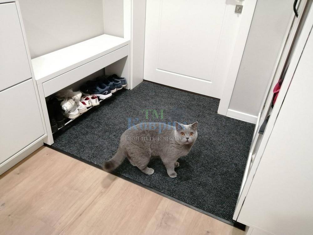 придверний килимок купити