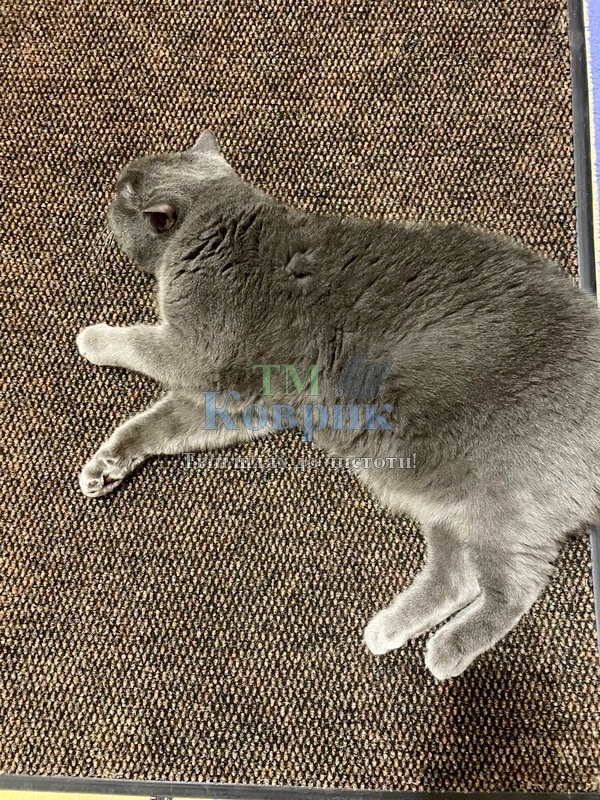 купить придверный коврик