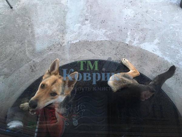 Килимок вхідний