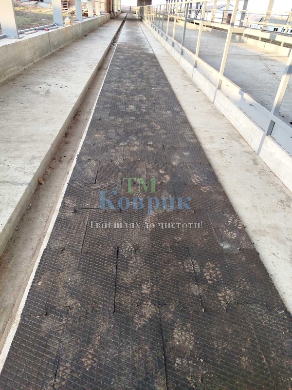 резинова плитка в корівник