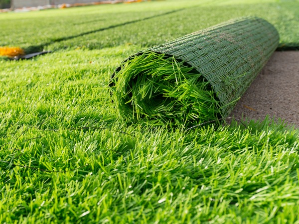 трава для газону продаж